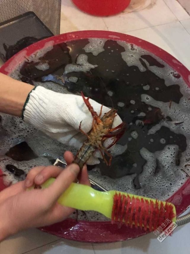 清洗小龙虾的正确方法，清洗小龙虾的正确方法与技巧