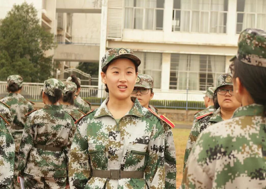 军军肖王防王料女歌今，深度解读与SEO优化策略，军军肖王防王料女歌今，深度解读与SEO优化策略探讨