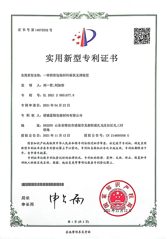 接联片空六防塑袋专资条,深度解析与应用前景,接联片空六防塑袋专资条的深度解析与应用展望