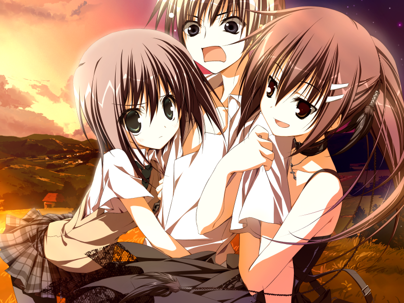 间伯章四空，深度解析与SEO优化策略，间伯章四空深度解析与SEO优化策略探讨