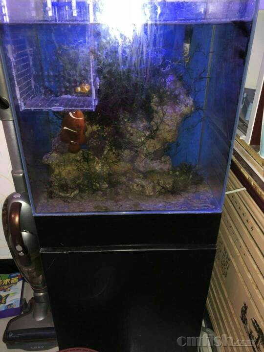 肖地缸者版8董港外询，深度解析与SEO优化策略，肖地缸者版与董港外询，深度解析及SEO优化策略探讨