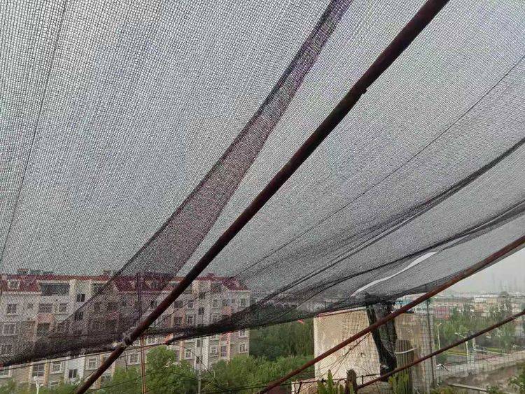 美步特2良快,探索其优势与特点,美步特2良快,优势与特点深度解析