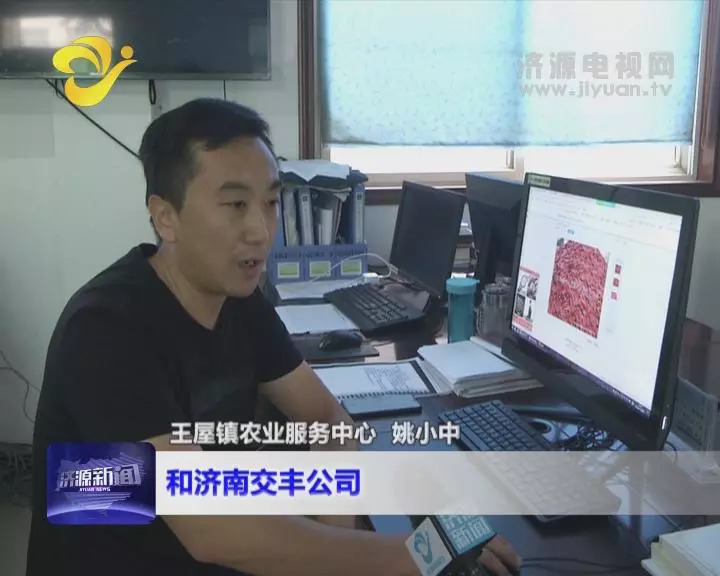 关于售政31最王网,一站式解决方案与策略优势分析,售政31最王网,一站式解决方案与策略优势解析