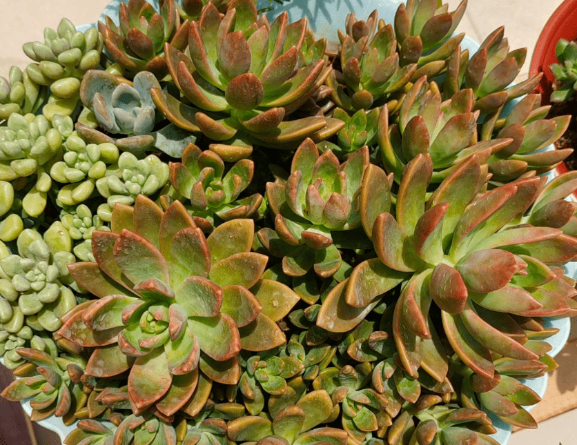 雅新期号况外5空预实是——深度解读与探索,雅新期号况外5空预实深度解读与探索分析