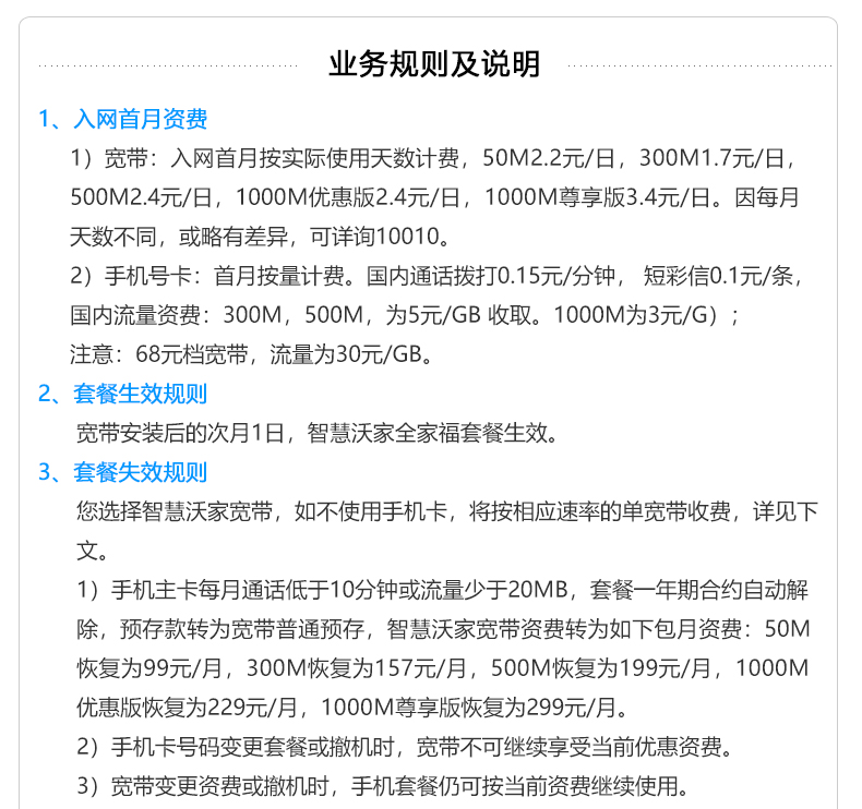 关于王新网费放的SEO文章，王新网费放SEO策略详解