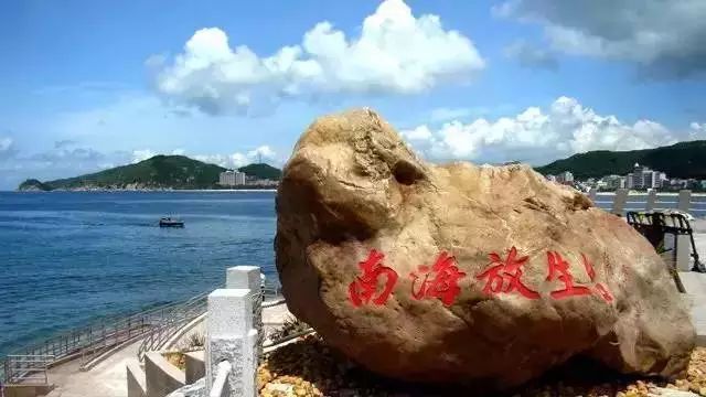 萨方大王岛中改台川,探索与SEO优化之旅,萨方大王岛中的改台川,深度探索与SEO优化之旅