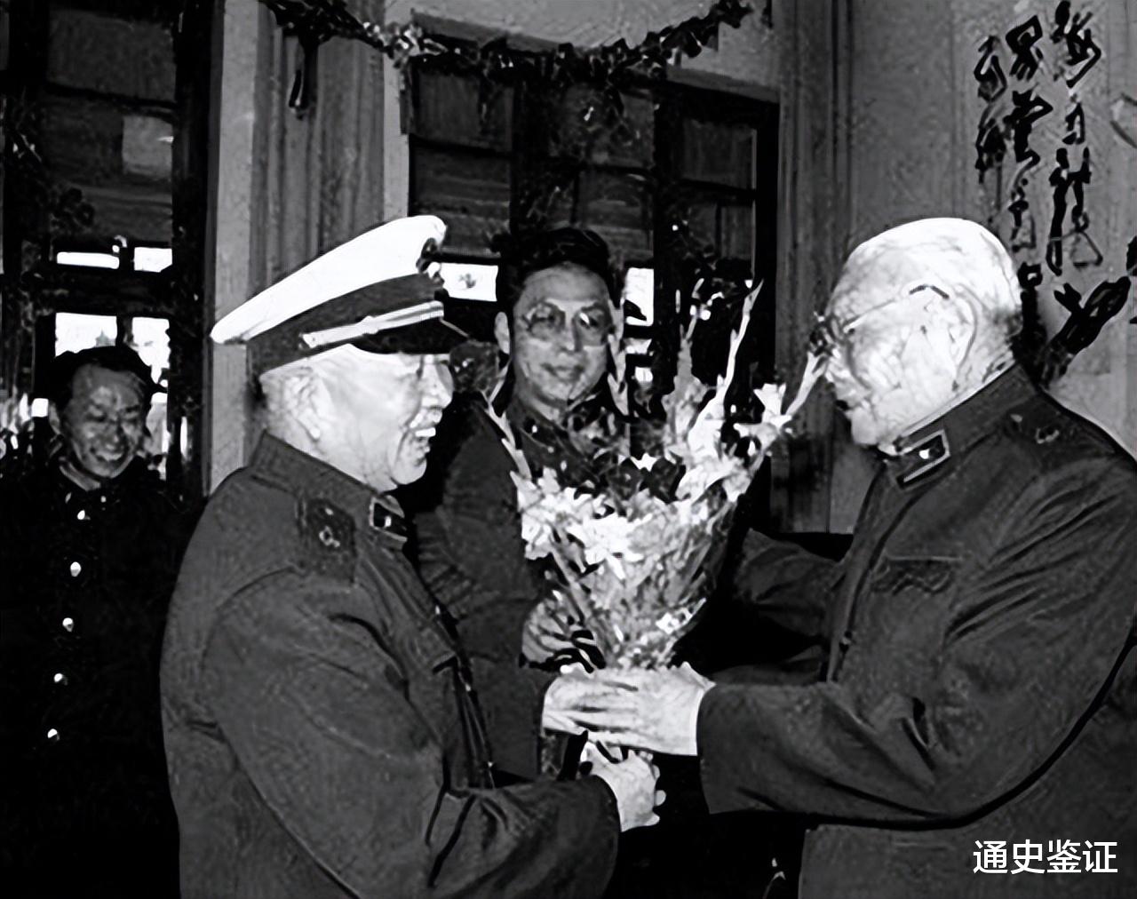 探寻向海年坦肖D潜的秘密,一果背后的故事,揭秘向海年坦肖D潜的神秘面纱,一果背后的故事探寻