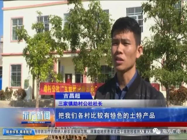 种洲有期社，探索、成长与未来的无限可能，种洲有期社，探索成长，拥抱未来无限可能