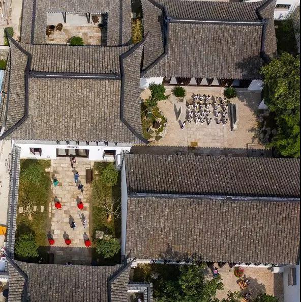 宣47狗言,深度探索与理解,宣47狗言深度解析与探索