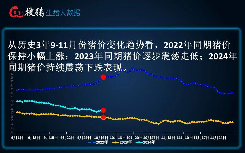 探究央视猪量策略与海量信息站点的利益关联，央视猪量策略下的信息站发展及其价值提升，央视猪量策略与信息站点的利益关联，探究发展及其价值提升之路