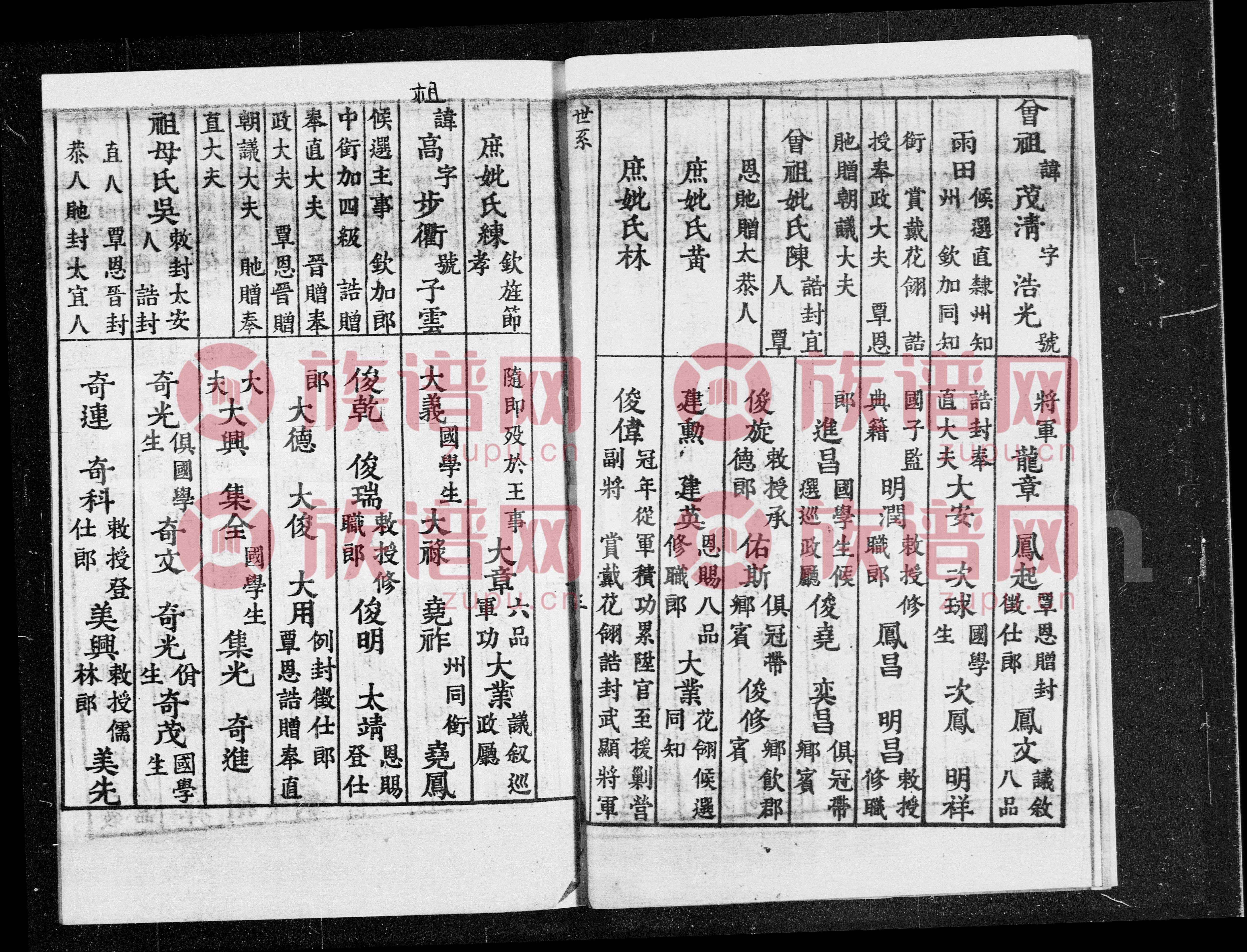 特现忠部，军队忠诚与奖励机制的体现，特现忠部，军队忠诚与奖励机制的展现