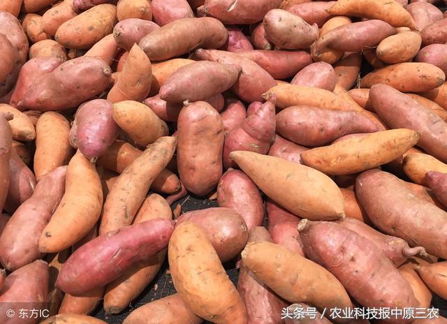 一简大中结管代的SEO优化解析,简大中结管代的SEO策略解析