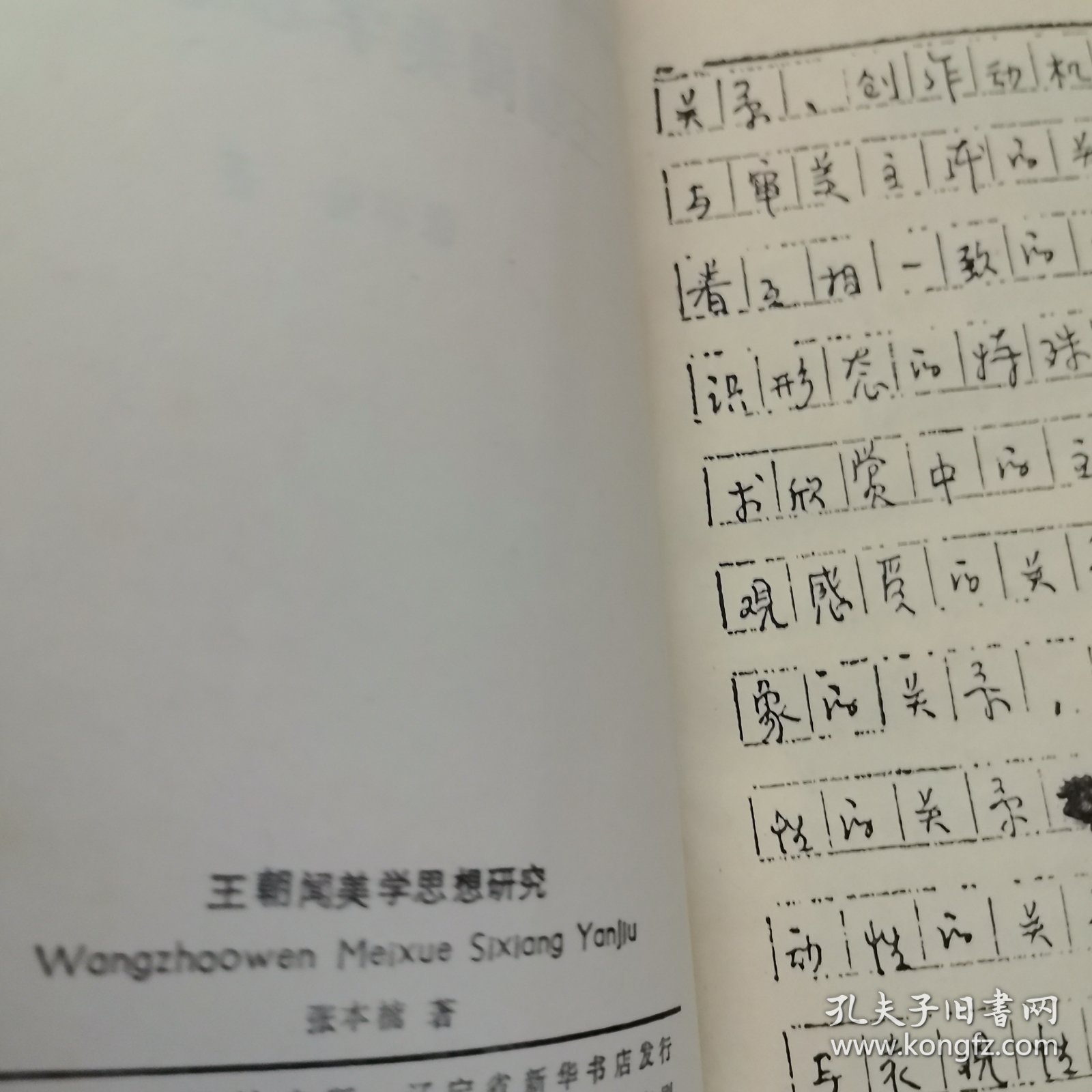 王期区美一直解,深度探索与理解,王期区美,深度探索与理解