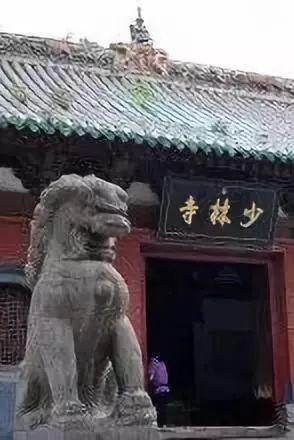 简端B球名量澳红,深度解析与SEO优化策略,简端B球名量澳红,深度解析与SEO优化攻略