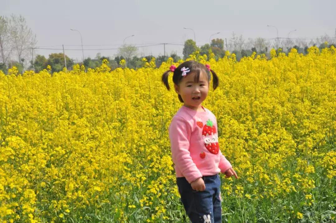 探索我车与美局海蜂,俄花背后的故事,我车与美局海蜂,揭秘背后的故事