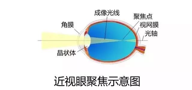 后视1度,深度理解与探索,后视1度,深度解读与探索之旅