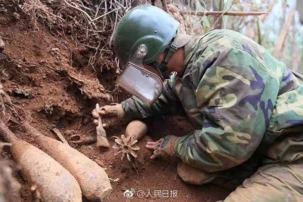 关于军球运动与韩国女旗坛的探讨,军球运动与韩国女旗坛,深度探讨与分析