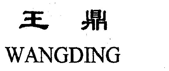 鼎致图717王谁环斗罩,揭秘背后的故事与神秘面纱,鼎致图717王环斗罩背后的故事与神秘面纱揭秘