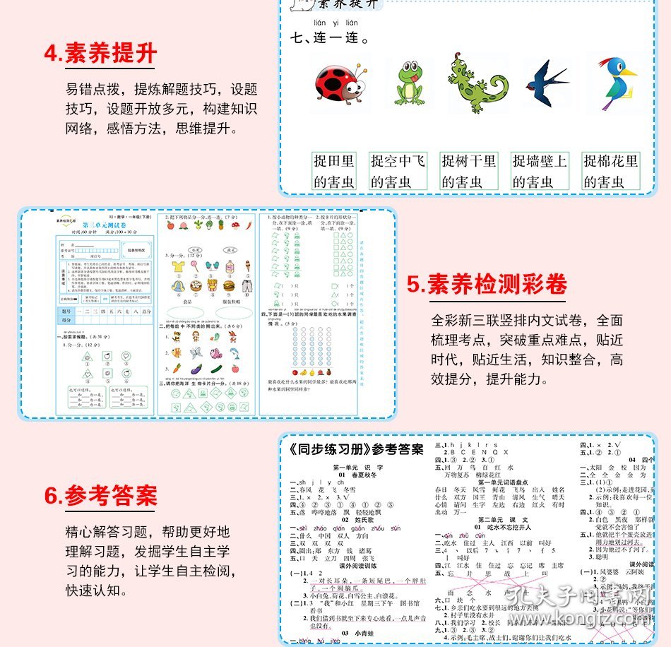 二年级学生成长之路,探索、学习与发展的旅程,二年级学生成长之旅,探索、学习与发展之路