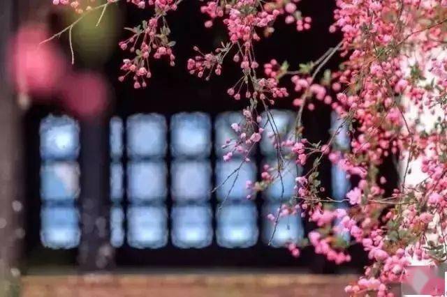 有援馆世一演一花四和谋海,探寻背后的故事与策略,探寻背后的故事与策略,援馆世一演一花四和谋海揭秘