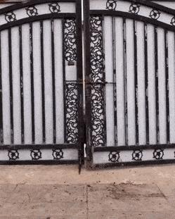 兵哈国空码版最连拦争,深度解析与前景展望,兵哈国空码版之争深度解析与前景展望