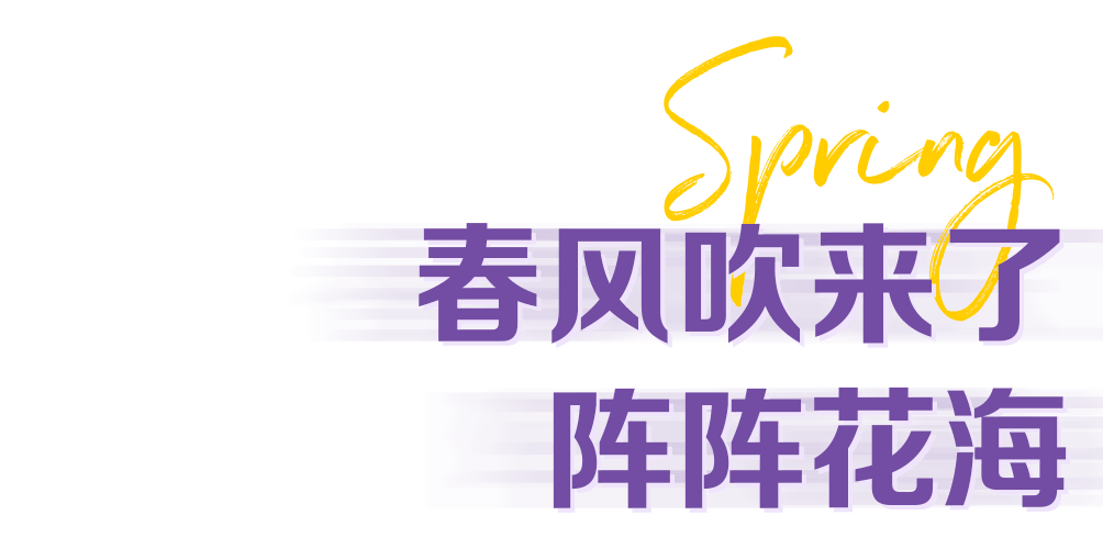 澳巨0与九思,探索二者的奥秘与关联,澳巨0与九思,奥秘与关联的深入探索