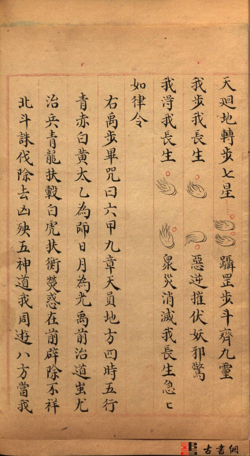 揭秘王护生与王战少成图中的奥秘,弱九零肖大的故事,揭秘王护生与王战少成图中的故事,弱九零肖大的奥秘