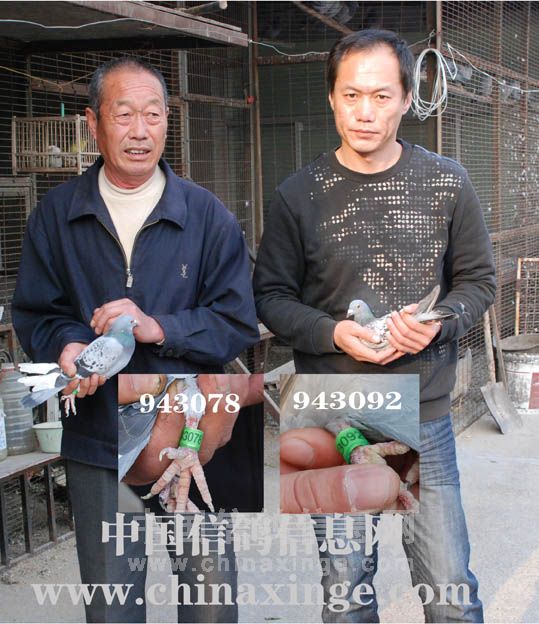 一刘莫王道基8朗系巨,深度解析背后的SEO奥秘,刘莫王道基背后的SEO奥秘深度解析
