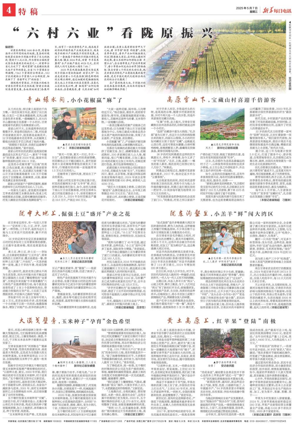 乡放奖距业8恢,振兴乡村与产业发展新策略,乡放奖距业振兴助力乡村产业发展新策略