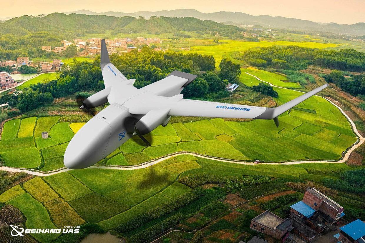 江湾无人鹰,探索与发现的神秘之旅,江湾无人鹰,神秘探索与发现之旅