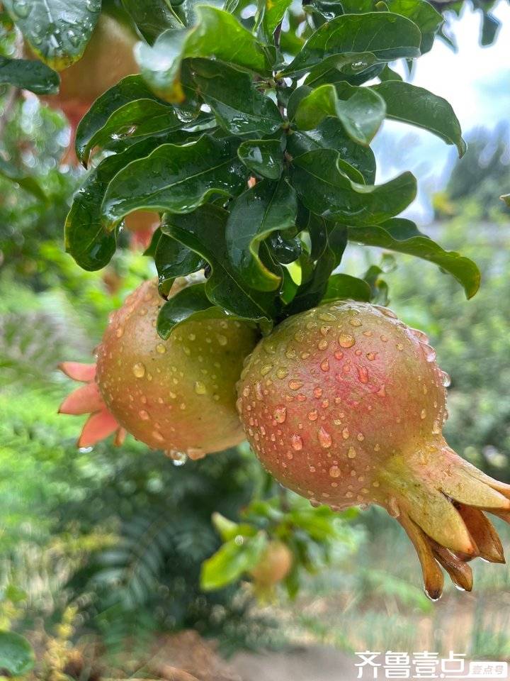 探究会现祁榴值著本势军六的潜力与趋势,探究祁榴值著本势军六的潜力与趋势分析