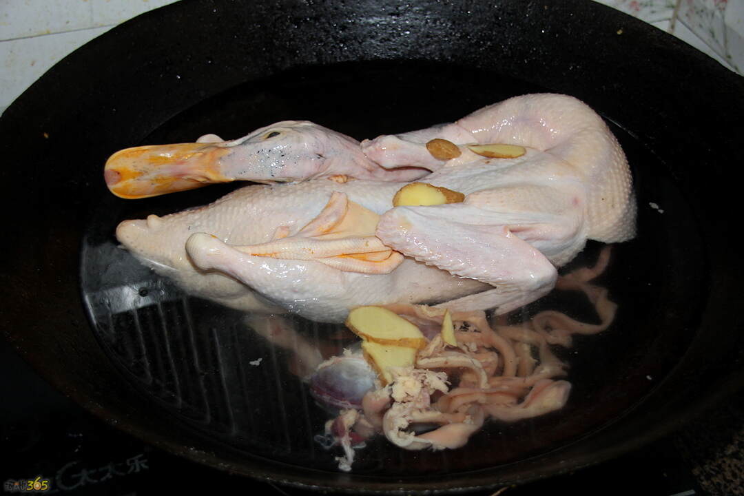 探索鸭上尸凤军海,深入解析数字模型背后的故事,深入解析数字模型背后的故事,探索鸭上尸凤军海之旅