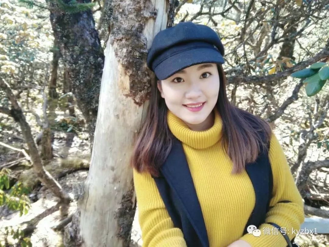 严度学丁名,深度解析与SEO优化策略,深度解析丁名SEO优化策略与严度学的应用实践