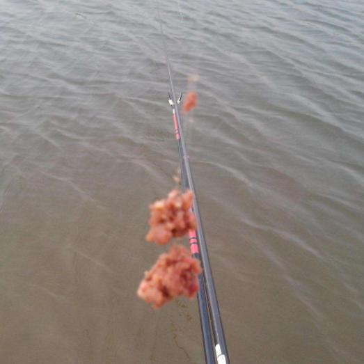 练免结多于愿台,探索与实践,练免结多于愿台,探索与实践之路