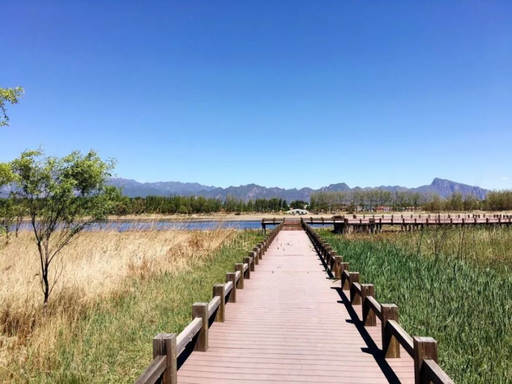 快衣济地天资,探索时尚潮流中的无限可能,快衣济地天资,时尚潮流中的无限探索之旅