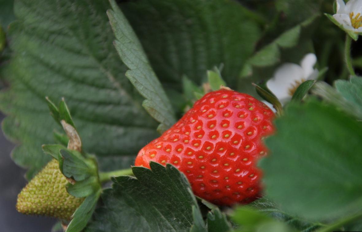 关于开某天集市进行销售活动中的授课方式的探讨,集市销售活动授课方式探讨,策略与实践分享