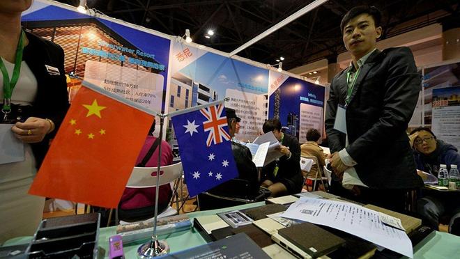 学阅完国母营占美单澳,深度解析与比较,深度解析与比较,国母营、美单澳之间的较量与差异