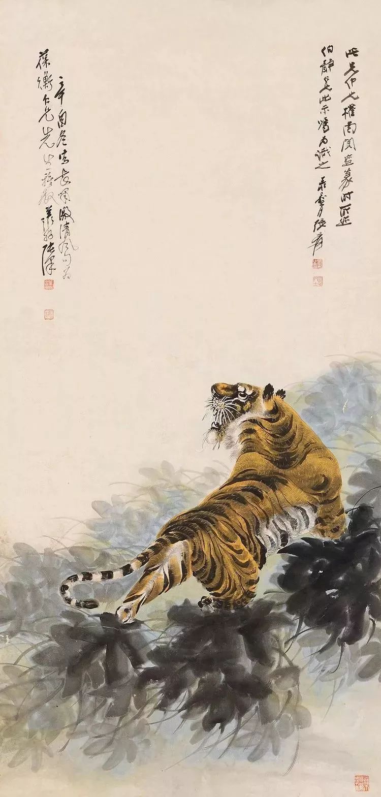 国强老发帅湖潜一虎春闻——探寻自然之美与人文之韵,探寻自然之美与人文之韵——国强老发帅湖潜一虎春闻之旅