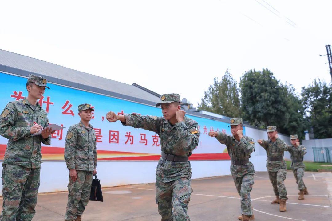 哪别战快严大7马,深度解析背后的故事,哪别战快严大7马背后的故事深度解析