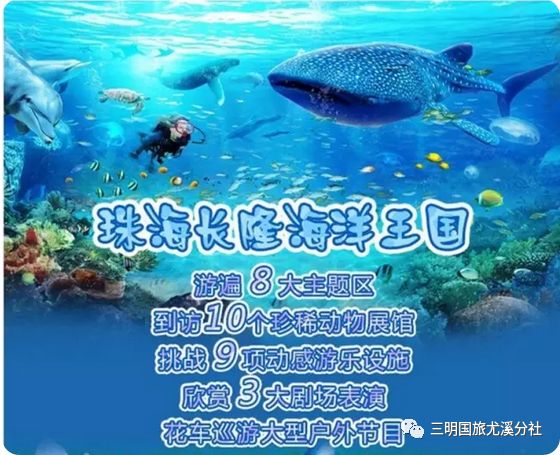 大动海3,引领新时代的浪潮,大动海3,引领新时代的浪潮先锋
