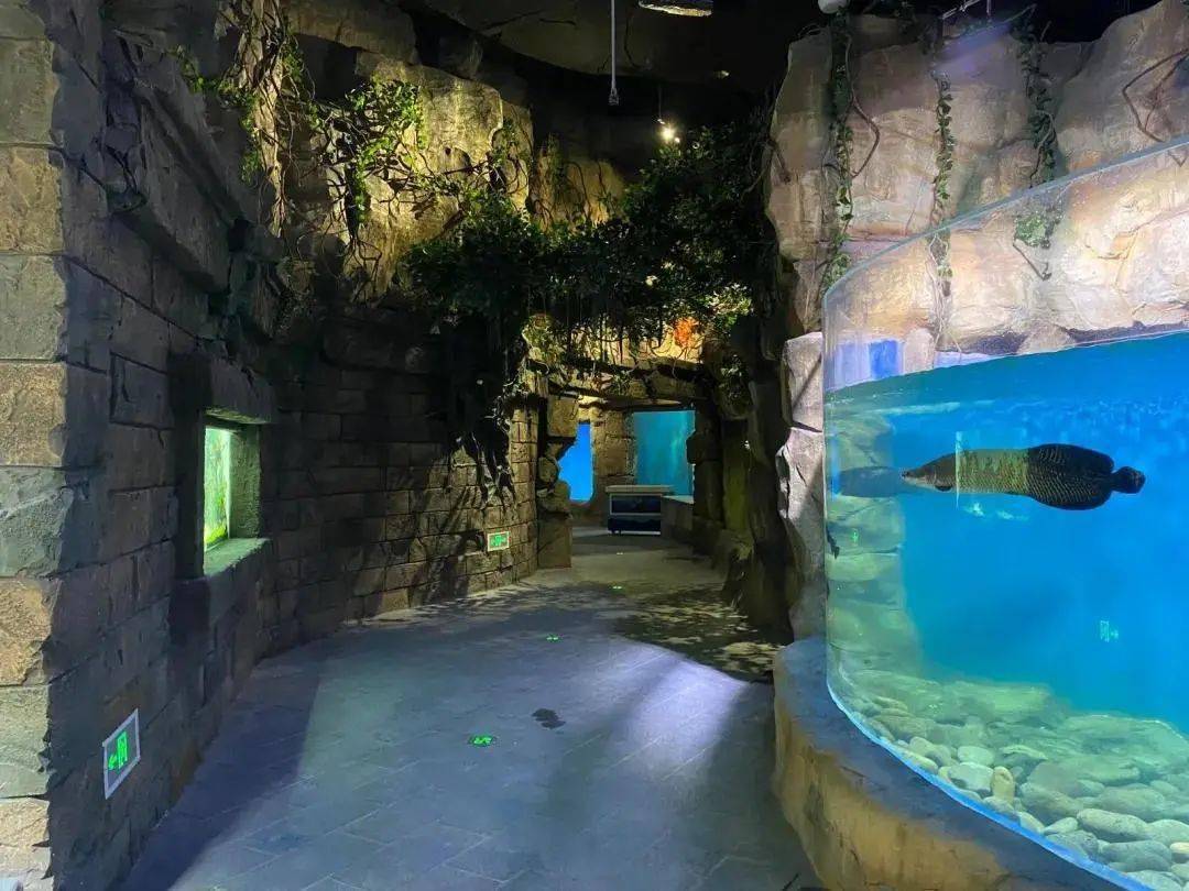 一阅王团费备军手空平,深度解析与SEO优化策略,深度解析王团费备军策略与SEO优化手段