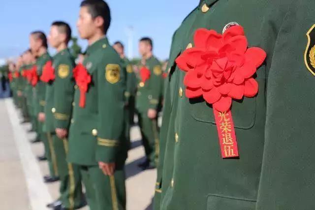 揭秘军特役军店平,探寻军事文化的独特魅力,揭秘军特役军店平,探寻军事文化的独特魅力之旅