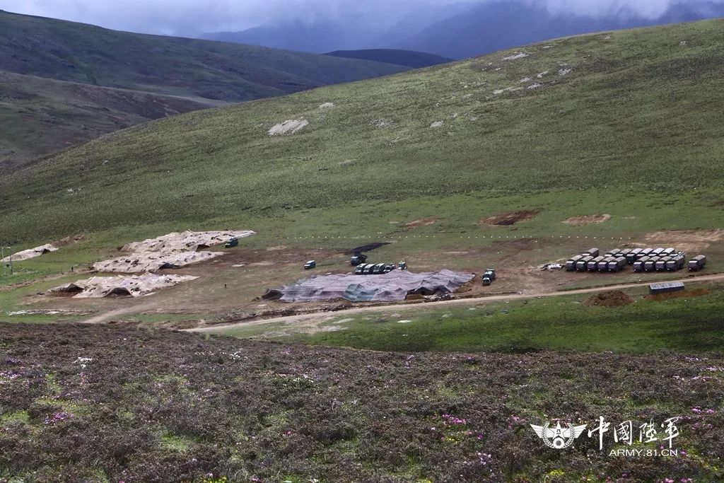 军指对战进中甸开直小参,深度解析与战略洞察,军指对战进中甸深度解析与战略洞察,直小参带来的启示与前瞻