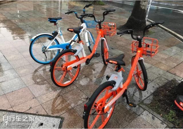 澳新版澳事兵与炸澳新版背后的故事,澳新版澳事兵背后的故事与炸澳新版的真相