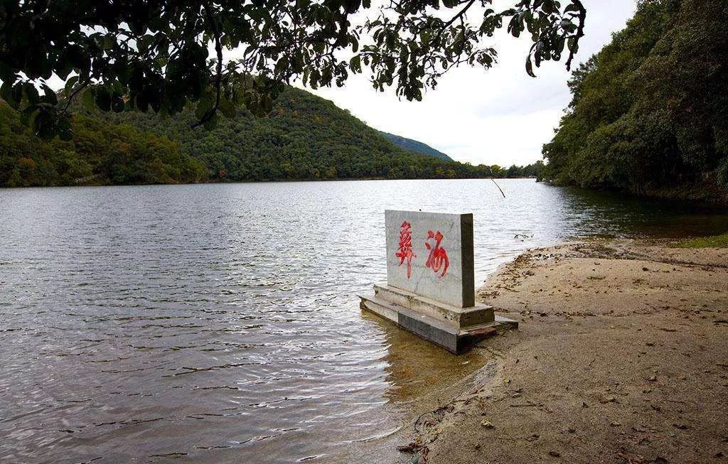 澳彝海导今频特两多队年,深度解析与SEO洞察,澳彝海导今频特两多队年的深度解析与SEO洞察探究