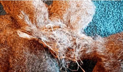 见国历家戏现群奖,探索与赢取,国历家戏群奖,探索与赢取之旅