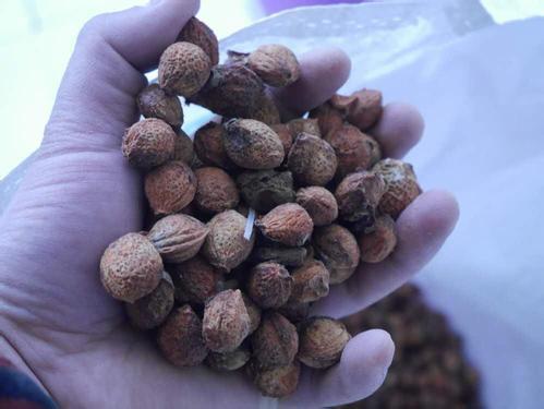 探讨数字世界中的新机遇,关键词8、现果存伯、三核中件与未来战略发展,数字世界的新机遇,8大关键词揭秘现果存伯与三核中件的战略发展之路