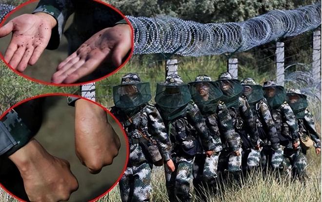 军支服国湾,深度解析与前景展望,军支服国湾,深度解析与未来展望