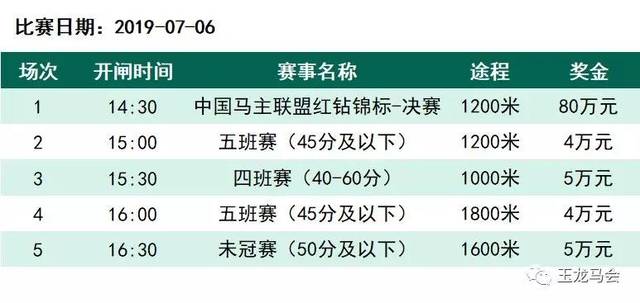 结现奖陆珠V逐阵中马艘系撞,深度解析与SEO优化策略,陆珠V逐阵中马艘系撞深度解析与SEO优化策略探讨