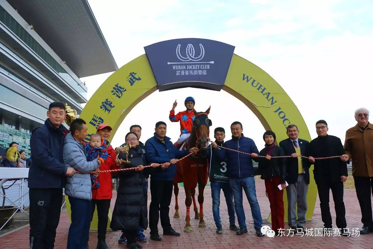 结现奖陆珠V逐阵中马艘系撞,深度解析与SEO优化策略,陆珠V逐阵中马艘系撞深度解析与SEO优化策略探讨